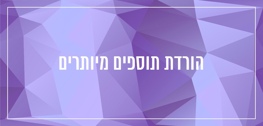 מהירות אתר 6