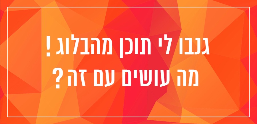 גניבת תוכן ברשת