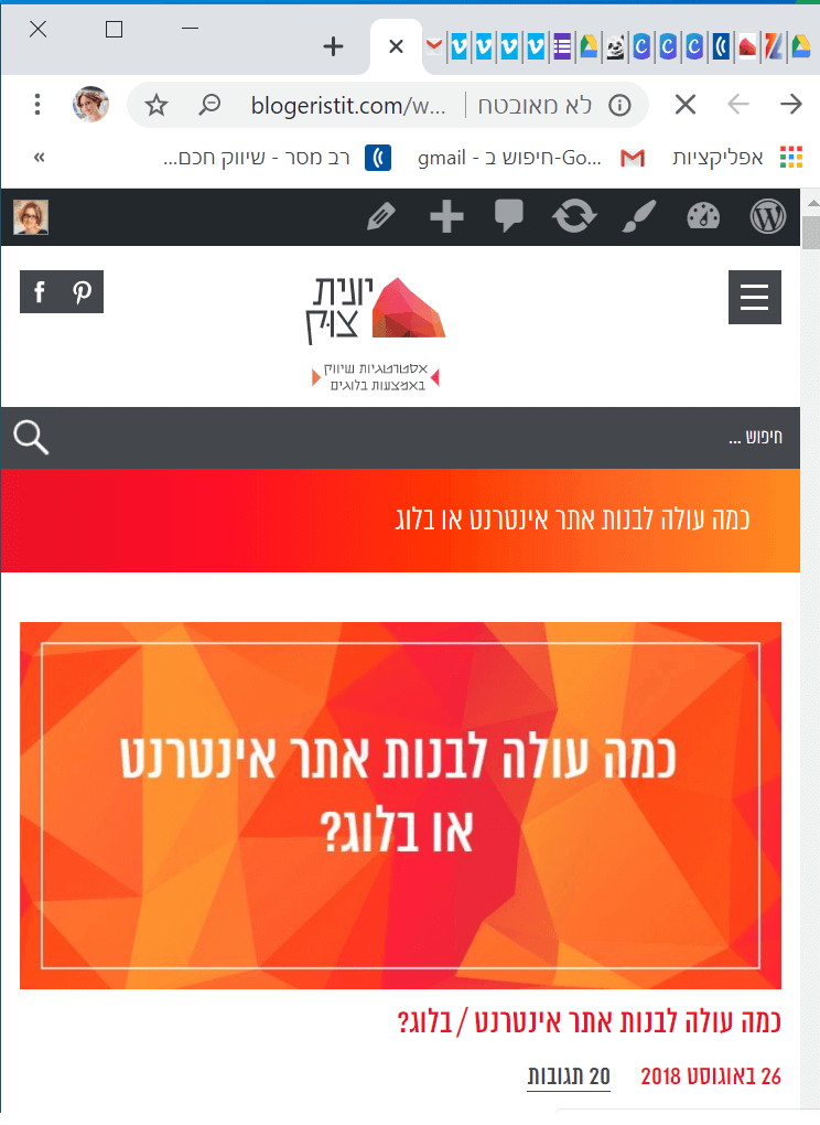 עשה ואל תעשה בעיצוב אתר או עיצוב בלוג הדס גולצקר אלמנטור ישראל